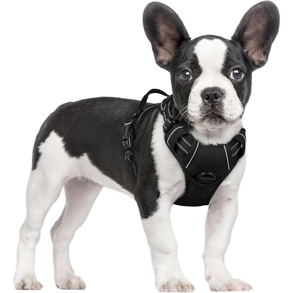 Fofunipaw Dog Harness No Pull with 2 Leash Clips, Adjustable Soft Padded,
